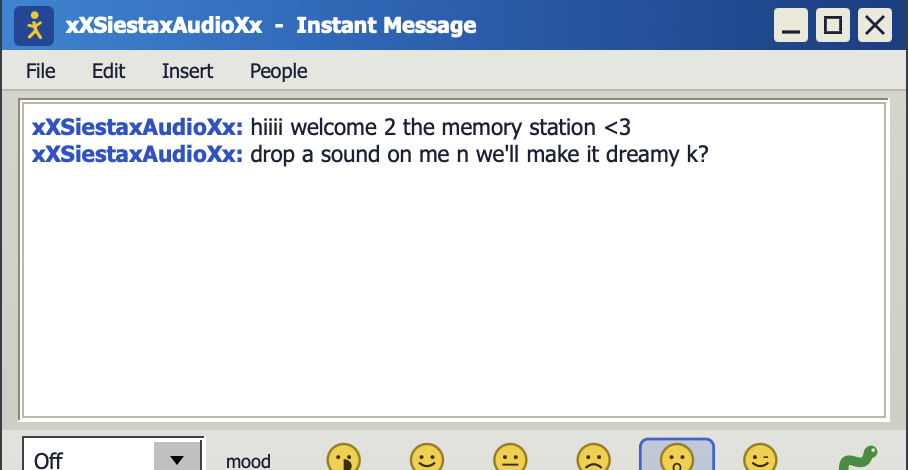 The chat window, where what you type is saved with your session.